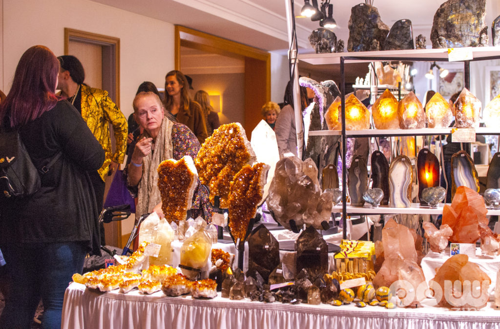 2019 Conscious Life Expo  LAX Hilton Los Angeles February 22-23, 2019  